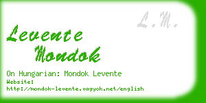 levente mondok business card